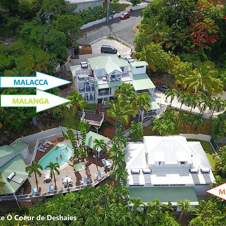 Studio Malacca, Malanga Et Majacudja - O Coeur De Deshaies Luaran gambar